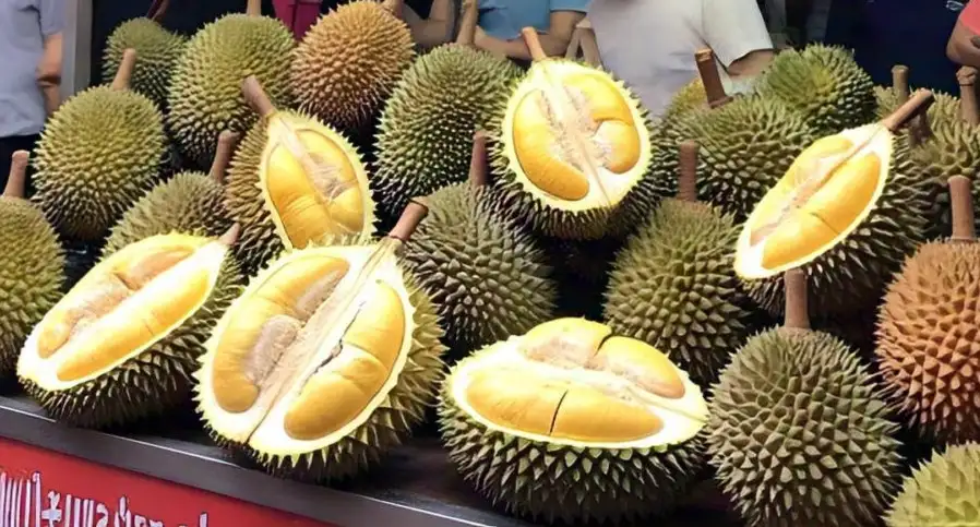 durian stall feature